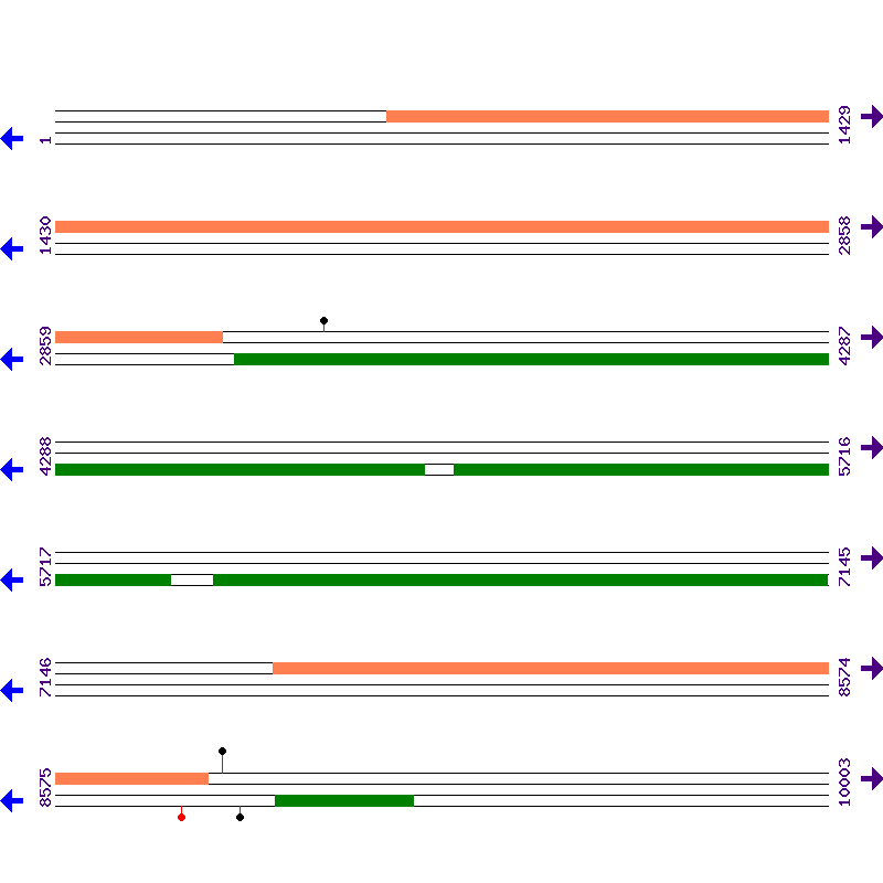 Genome View
