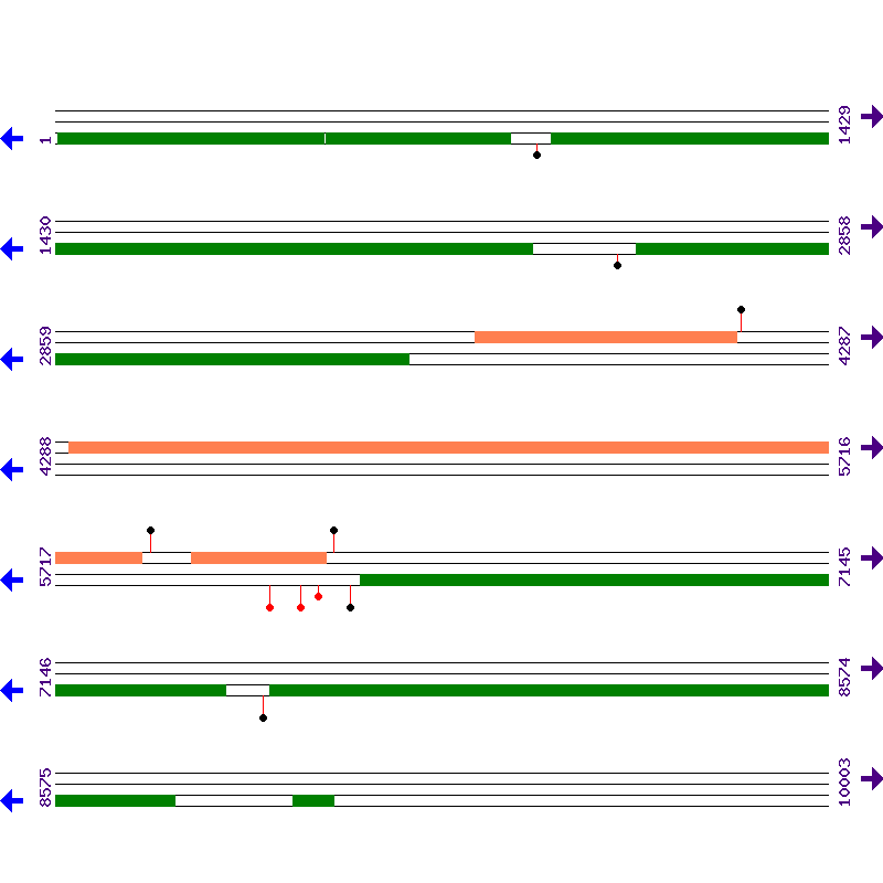 Genome View