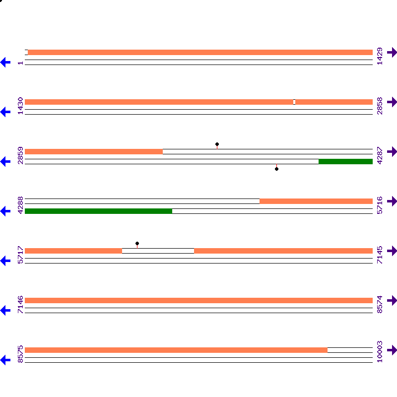 Genome View