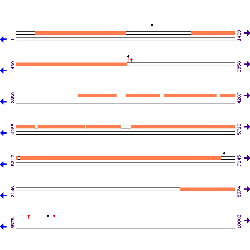 Genome View