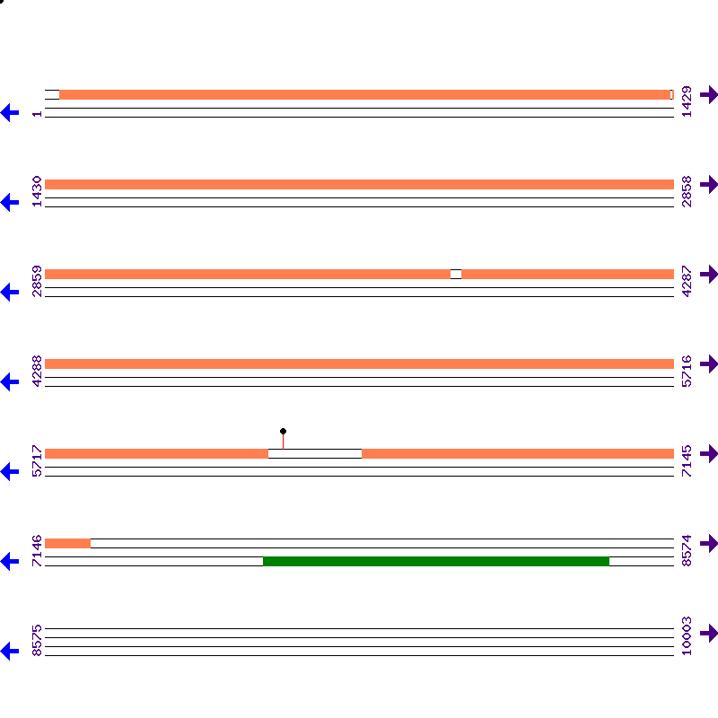 Genome View