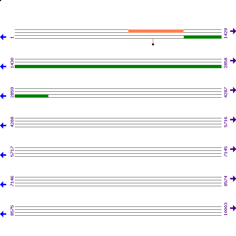 Genome View