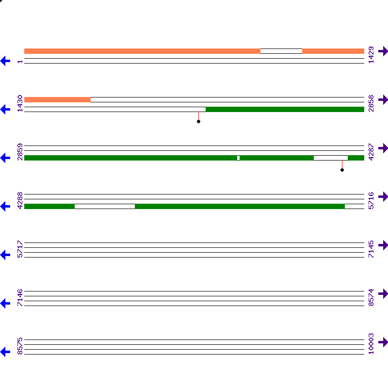 Genome View