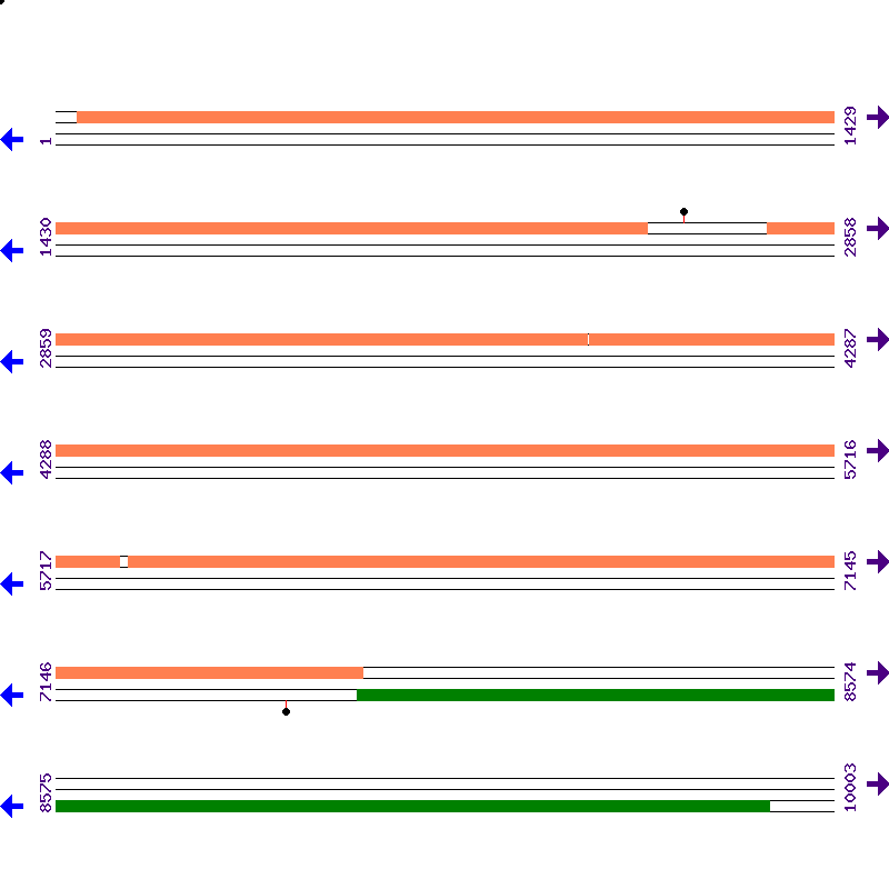 Genome View