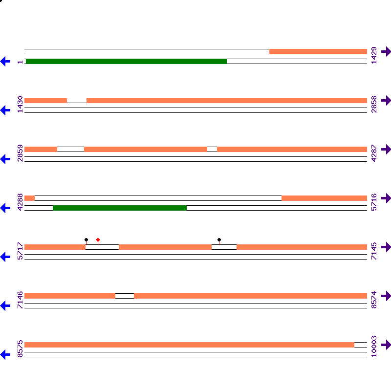 Genome View