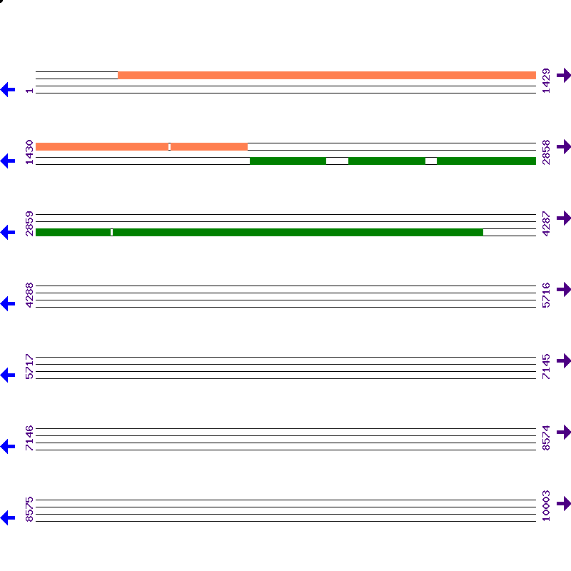 Genome View