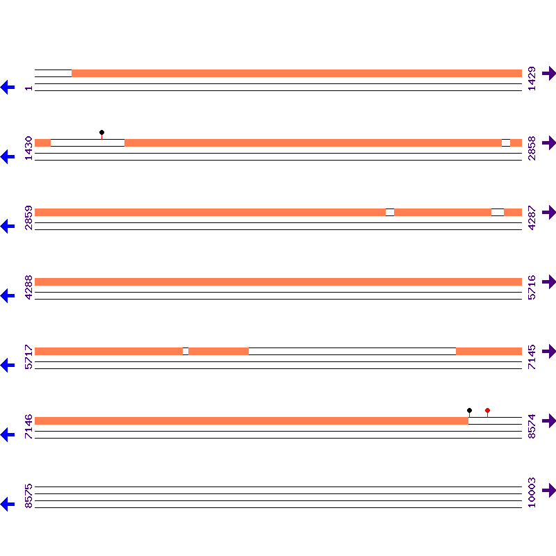 Genome View