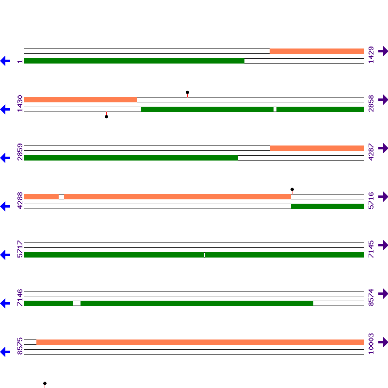 Genome View
