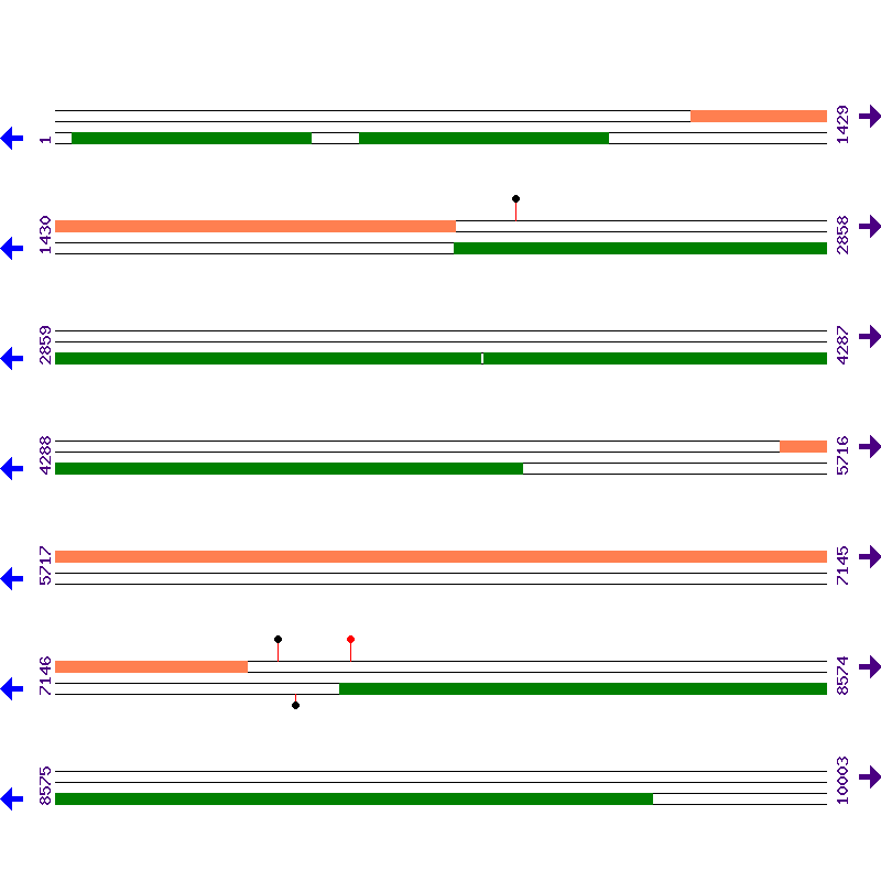 Genome View