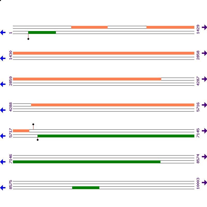 Genome View