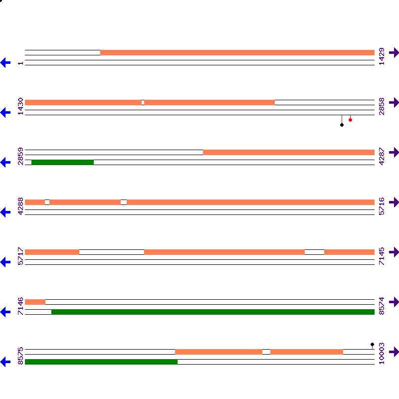 Genome View
