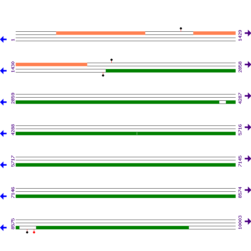 Genome View
