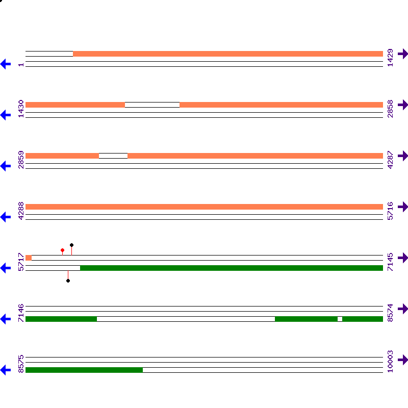 Genome View