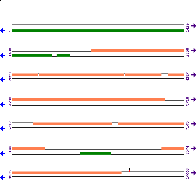 Genome View