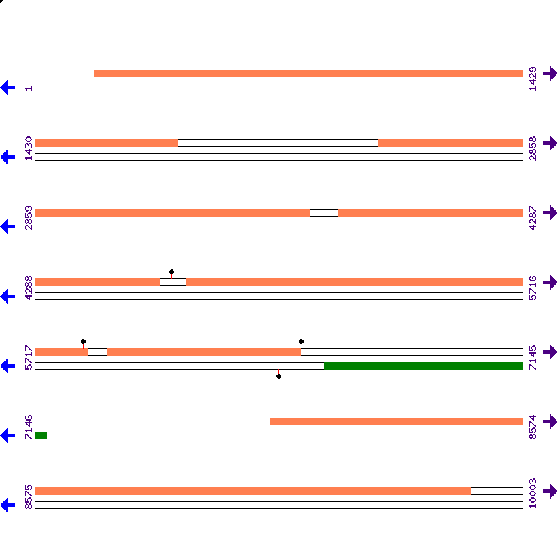 Genome View