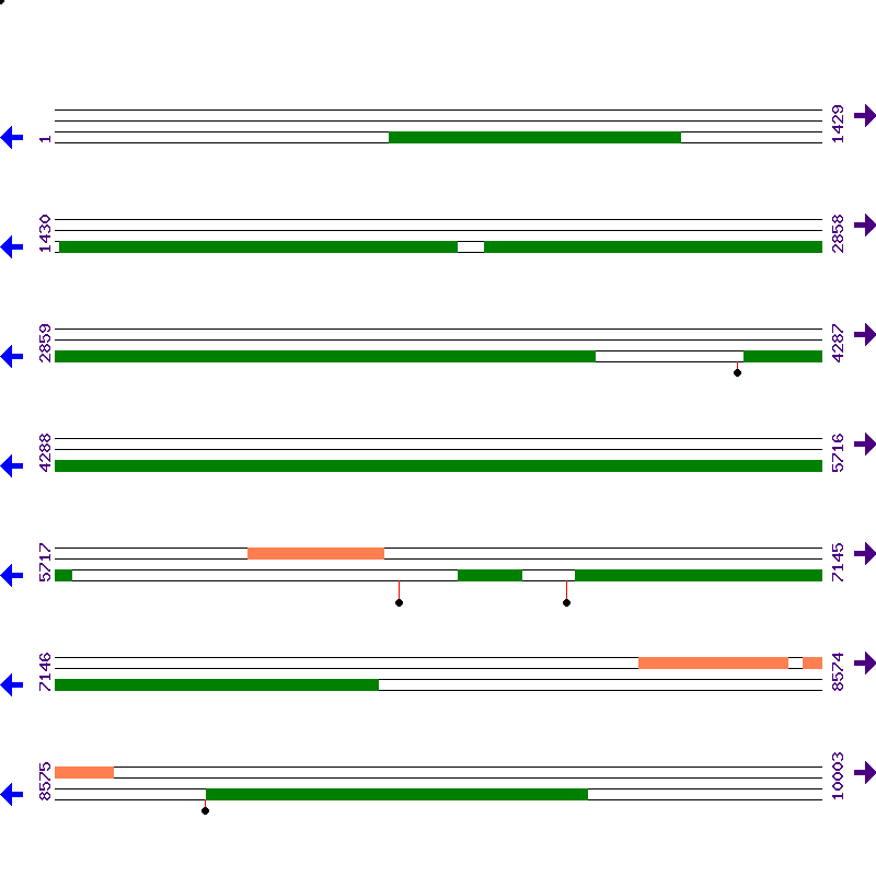 Genome View