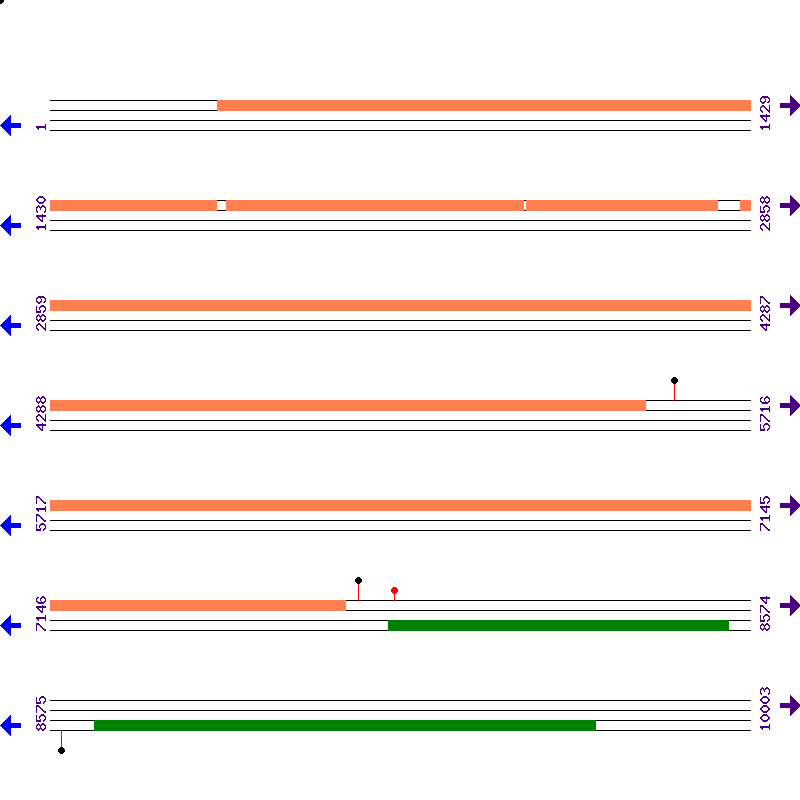 Genome View