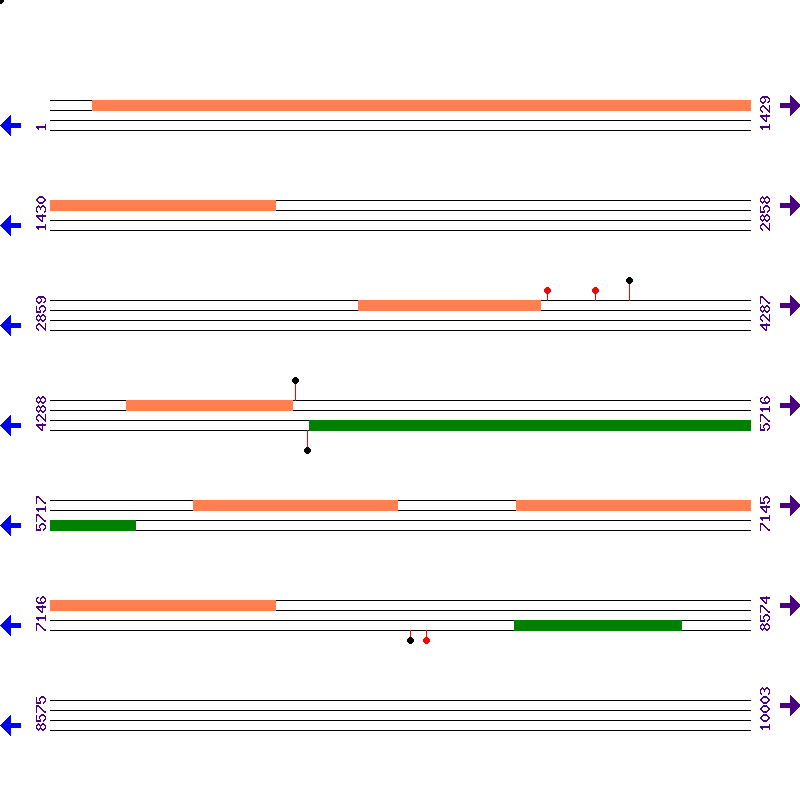 Genome View
