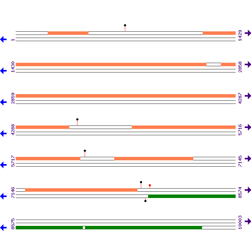 Genome View