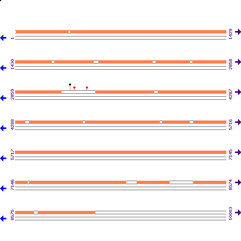 Genome View