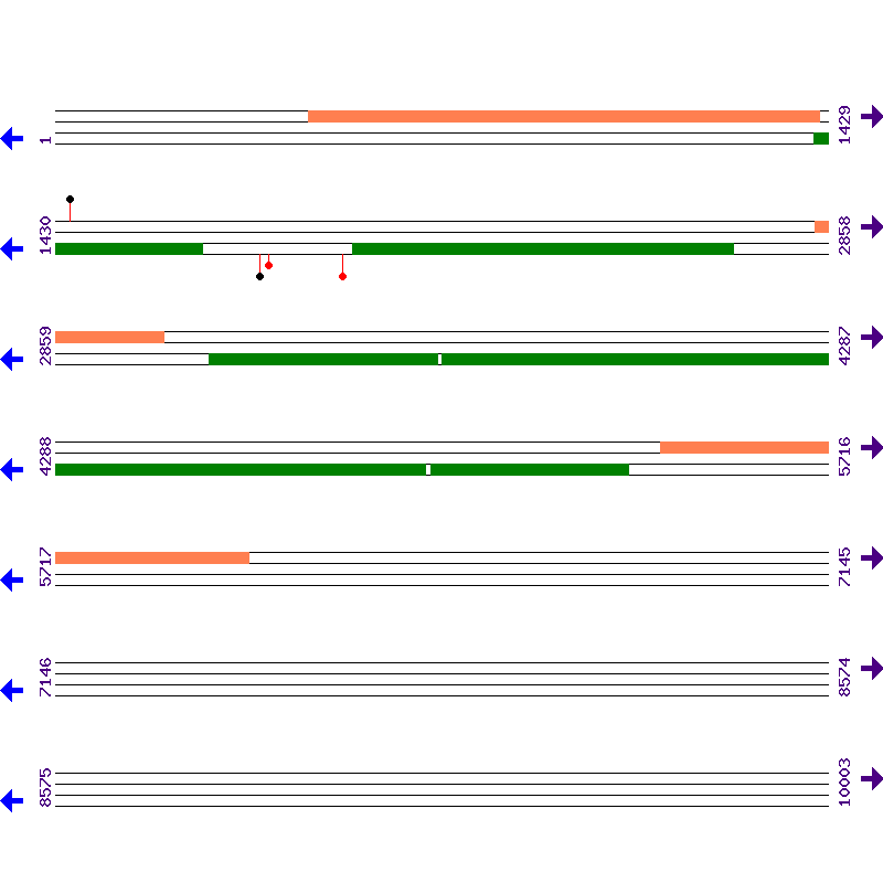 Genome View