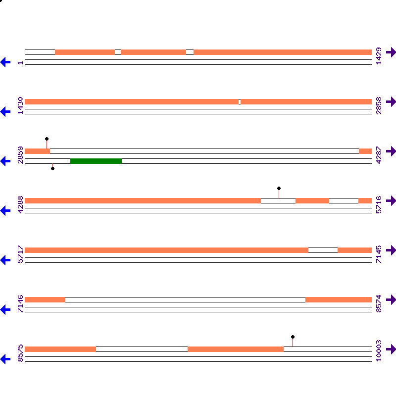 Genome View