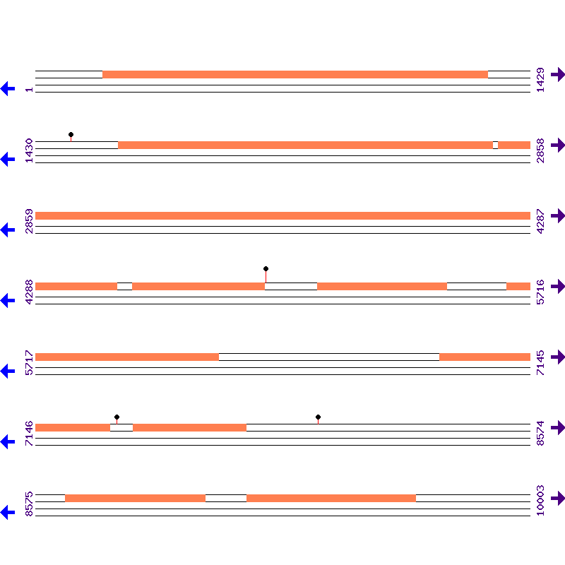 Genome View