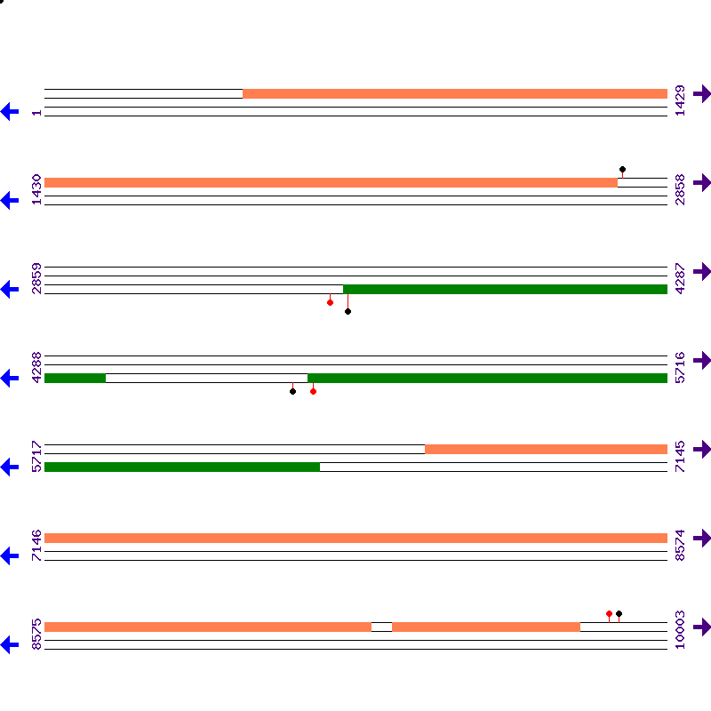 Genome View