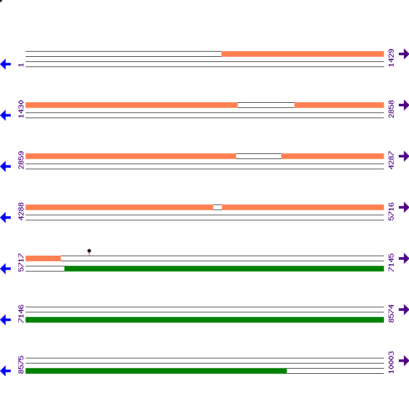 Genome View