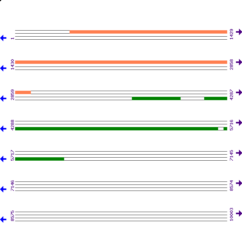 Genome View