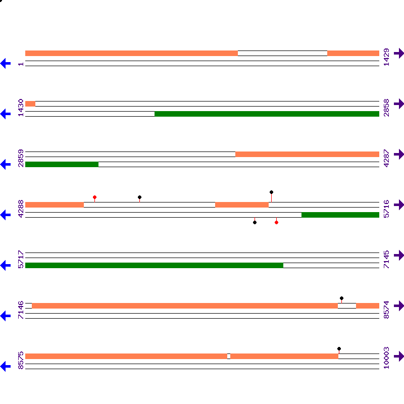 Genome View