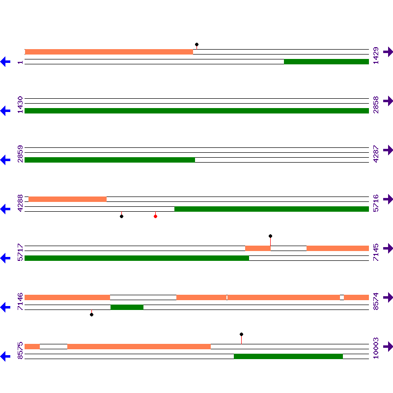 Genome View