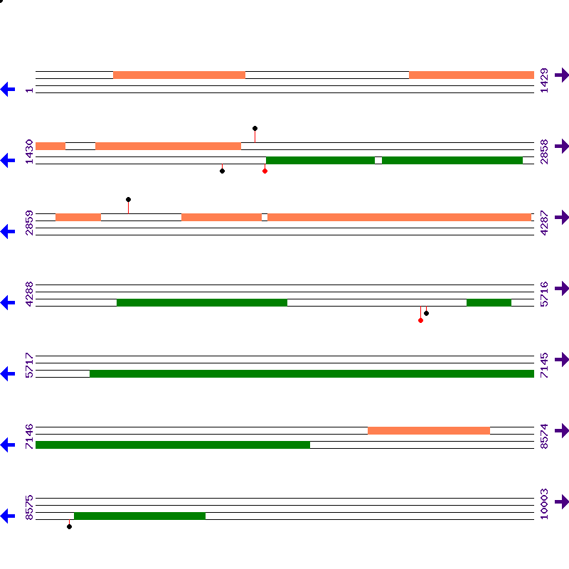 Genome View