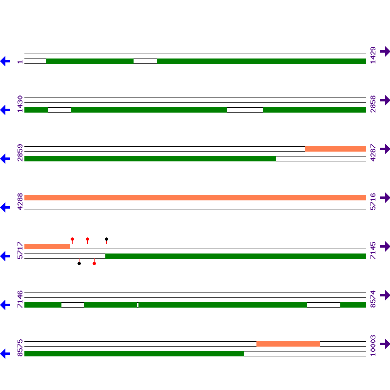 Genome View
