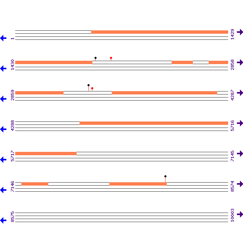 Genome View
