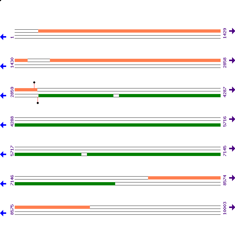 Genome View