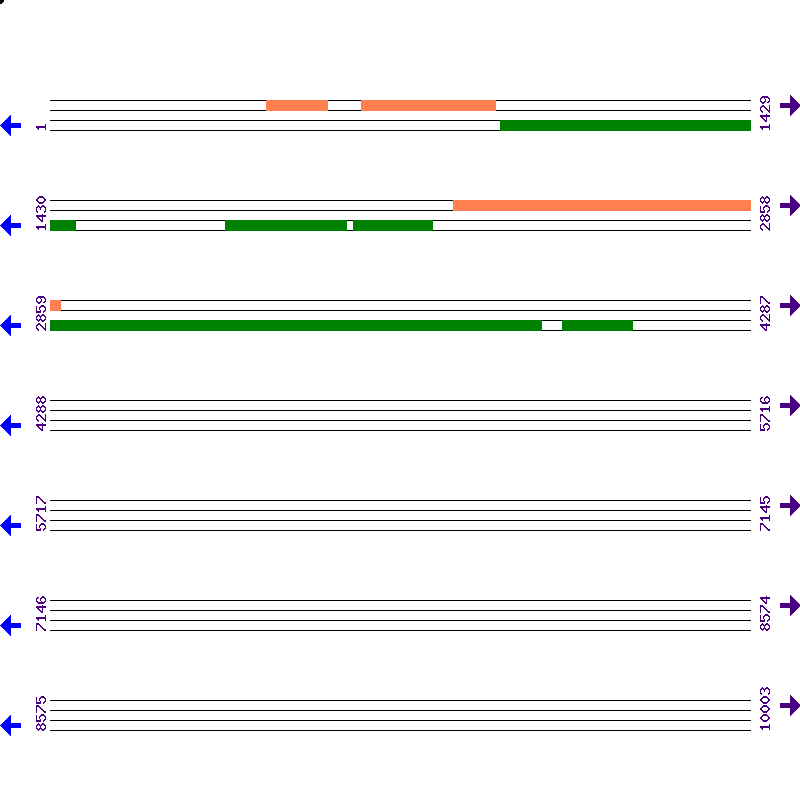 Genome View