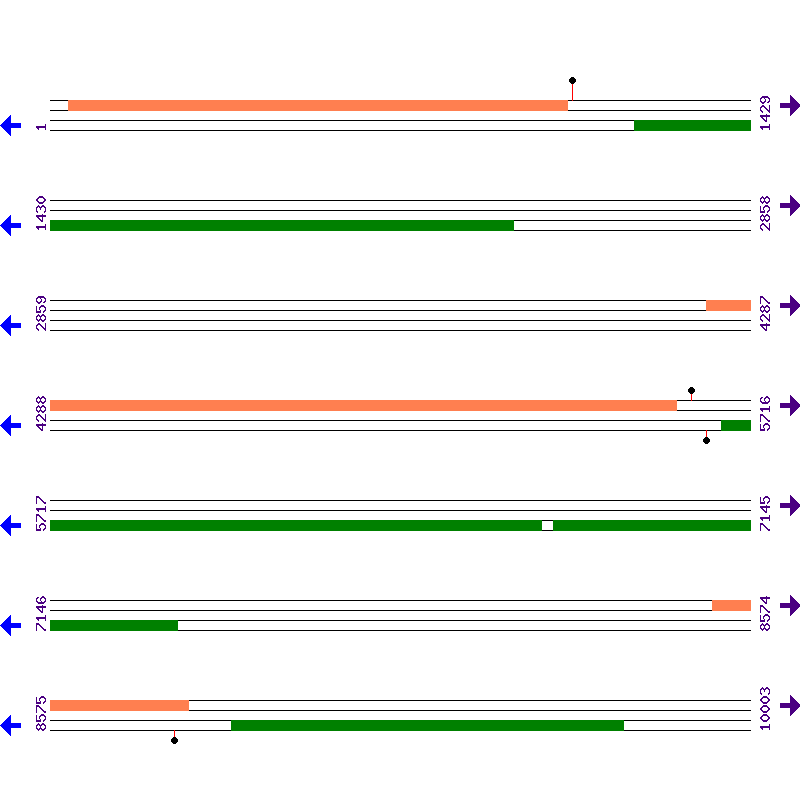 Genome View