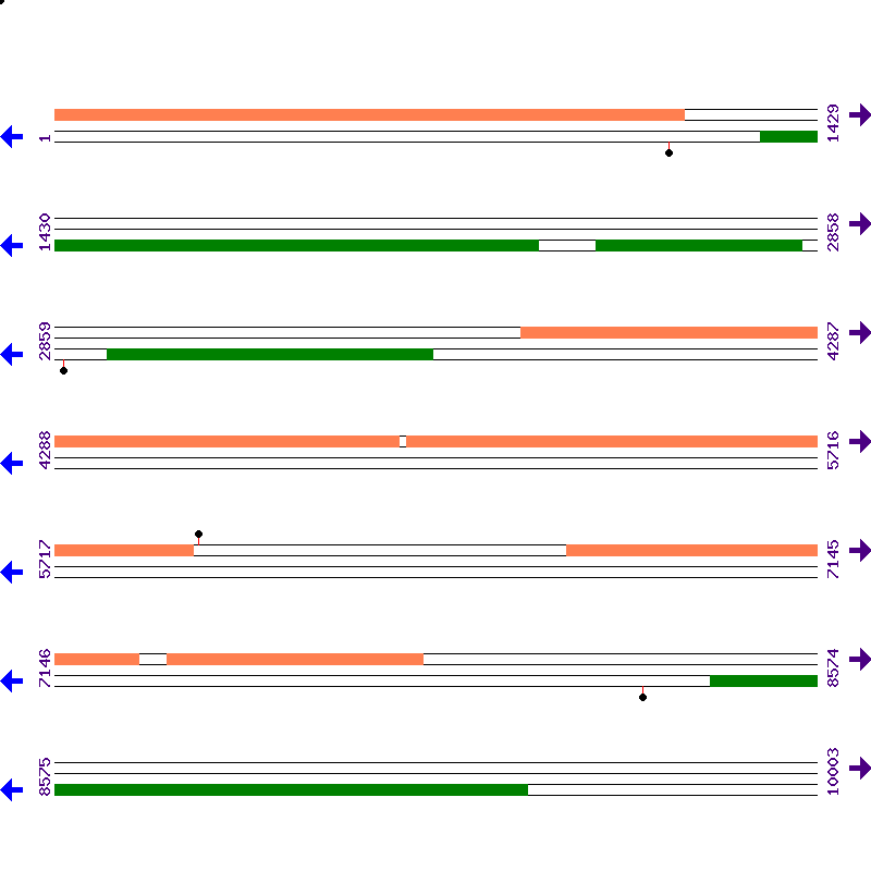 Genome View