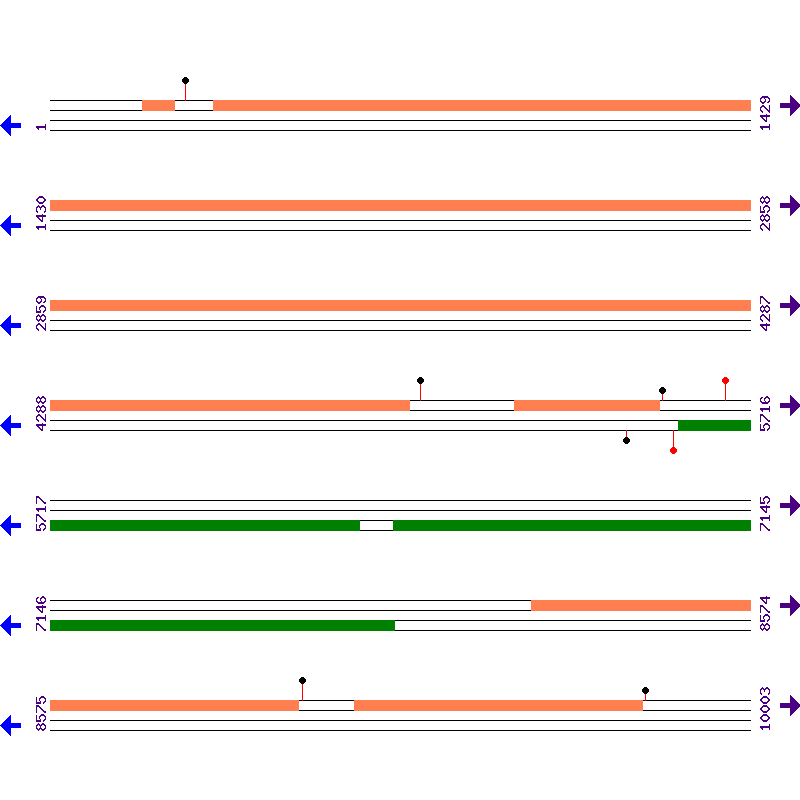 Genome View