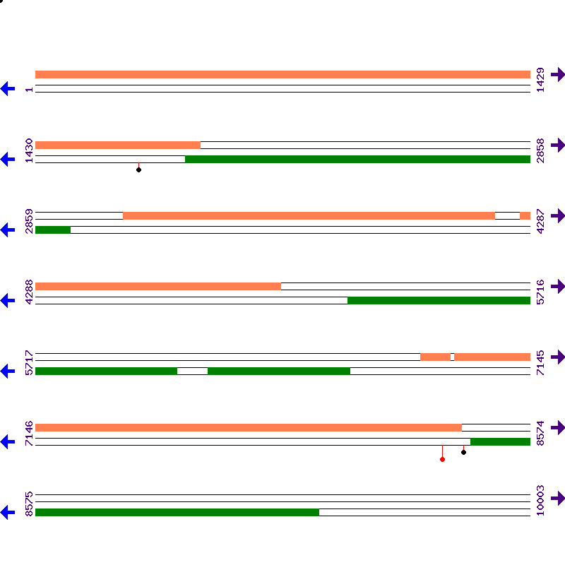 Genome View