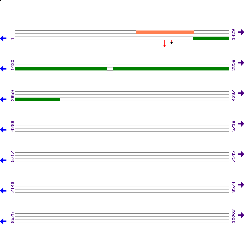 Genome View