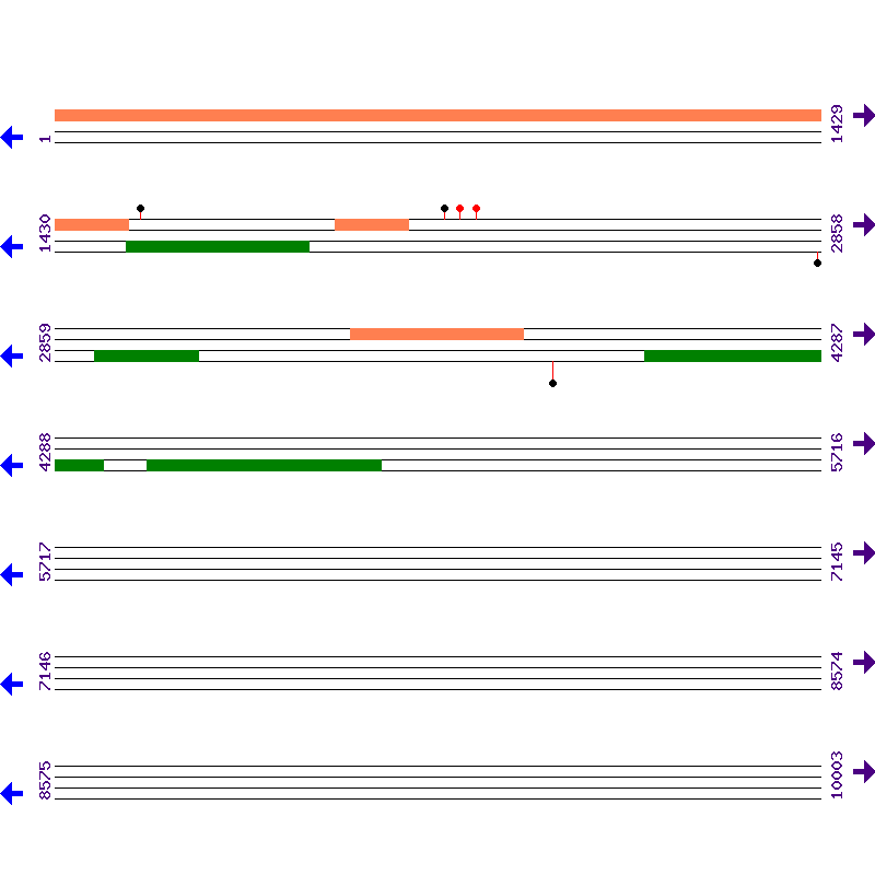 Genome View
