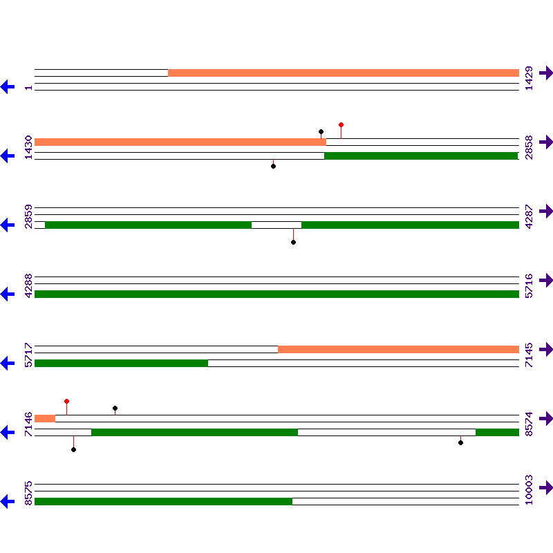 Genome View