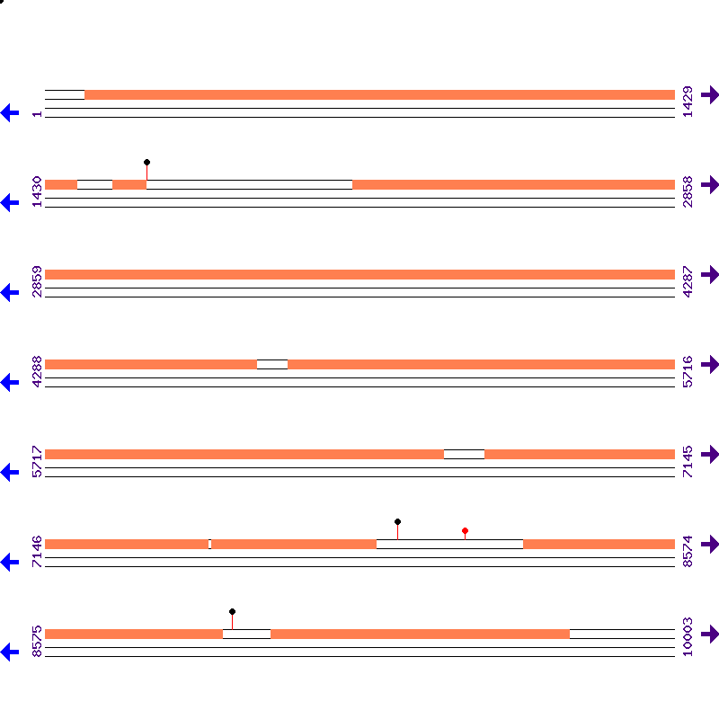 Genome View