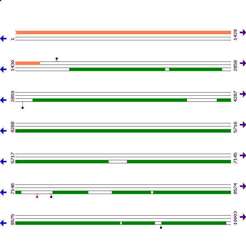 Genome View