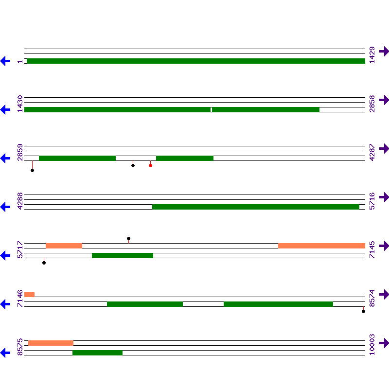Genome View