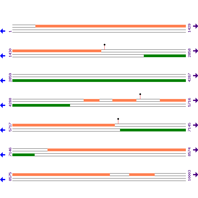 Genome View