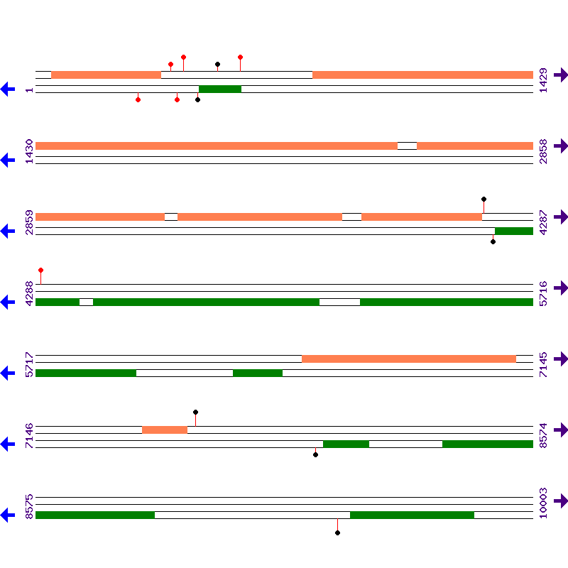 Genome View