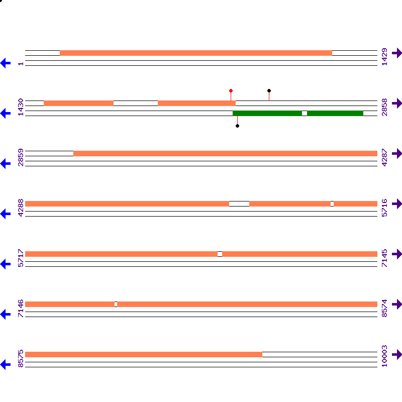 Genome View